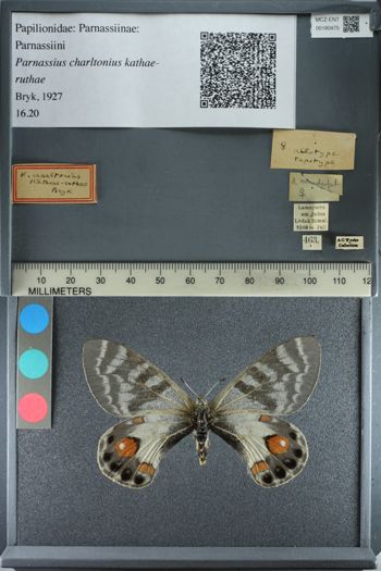 Media type: image;   Entomology 180475